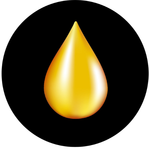 ölmühle oberschwaben logo